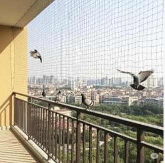 Real Bird Netting installation