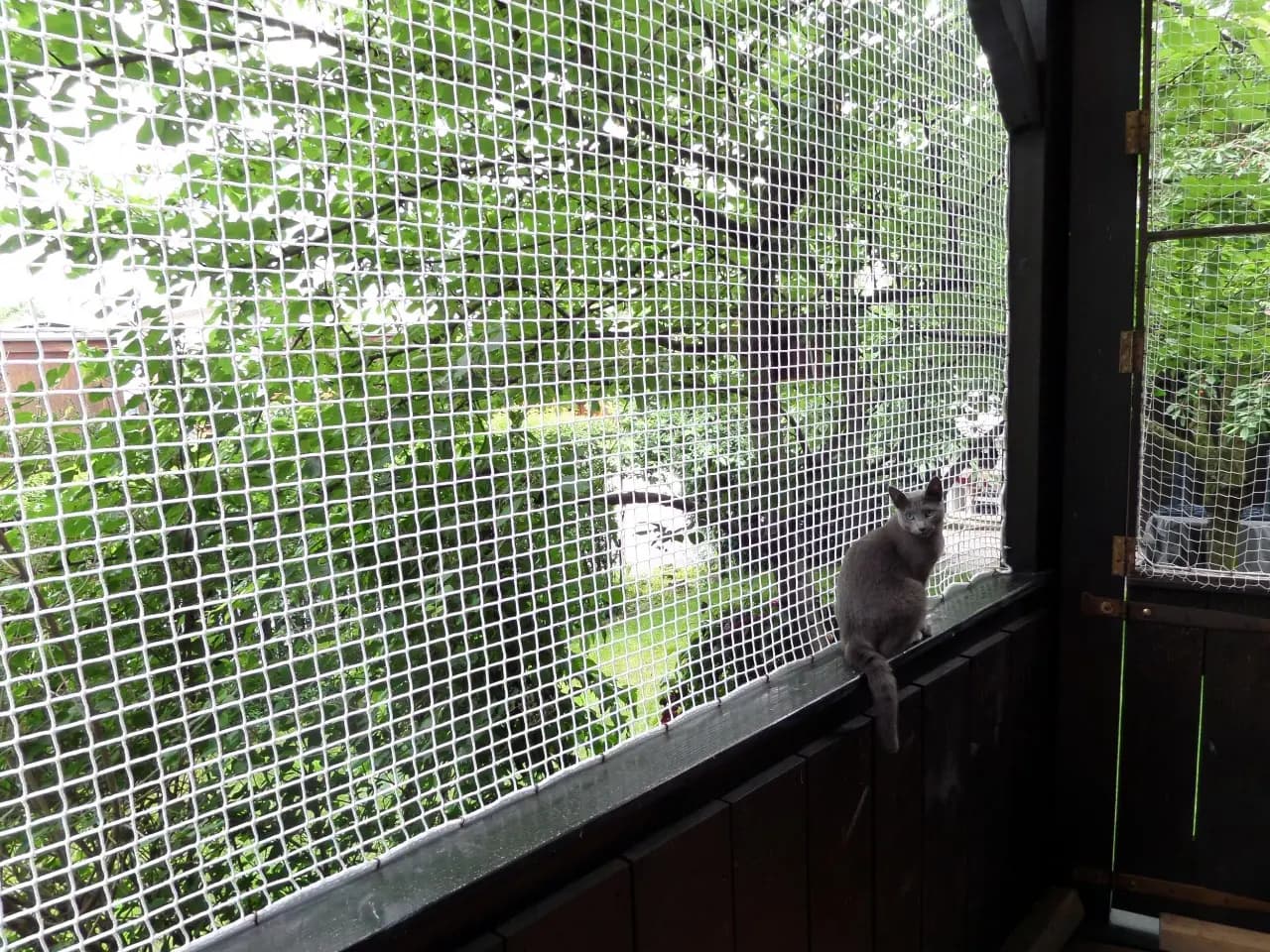 Pet Safety Nets